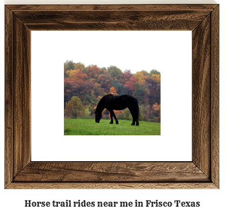 horse trail rides near me in Frisco, Texas